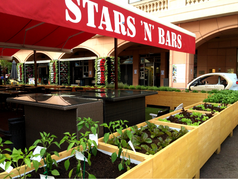 STARS'N'BARS: un jardin potager au sein de Monaco 