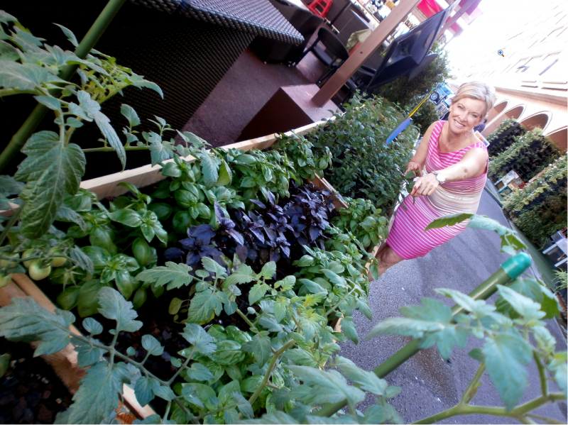 STARS'N'BARS: un jardin potager au sein de Monaco 